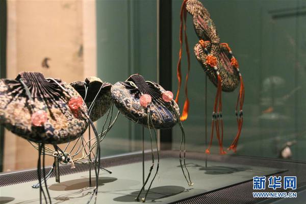 蠊蟲是什么蟲