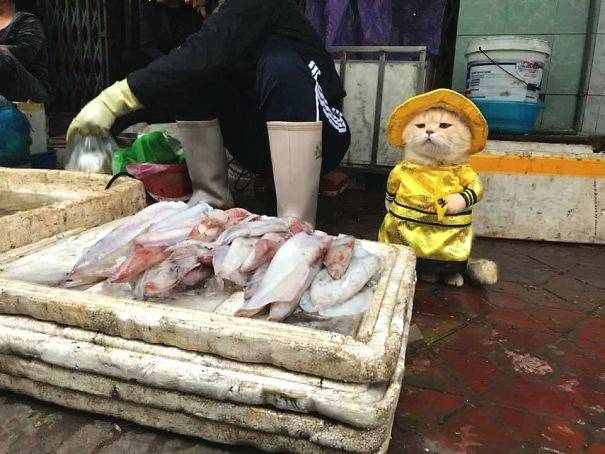 高鐵很晃是什么梗